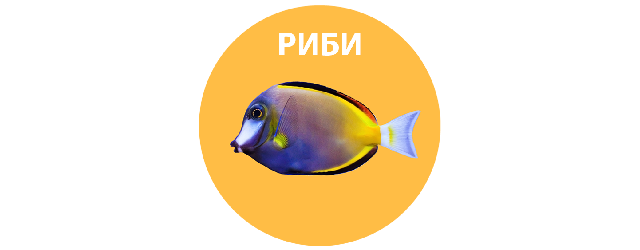 Категория Риби