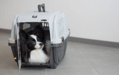 Транспортни чанти за кучета