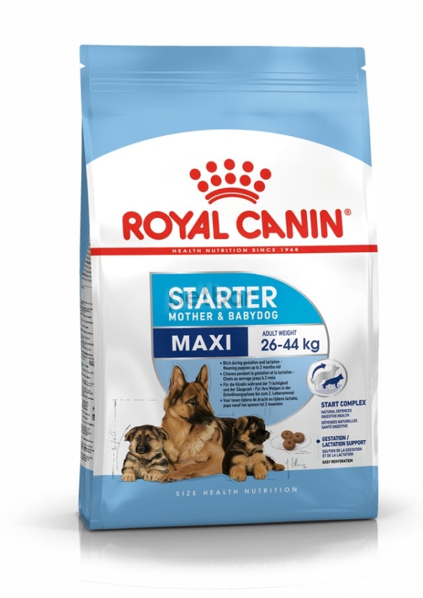 Royal Canin - Maxi Starter, Чудесен старт за кученца от едрите породи, подходяща и за бременни и кърмещи кучета  - 4 кг 