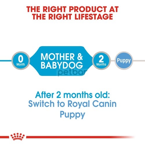 Royal Canin STARTER MOUSSE can - Мокра храна за бременни, кърмещи майки и подрастващи кученца от дребни породи до 2м. възраст. 195 гр. 