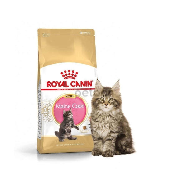 Royal Canin Maine Coon KITTEN -  Храна за бебета котки от породата Мейн куун 2 кг.
