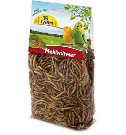  JR FARM mealworms 