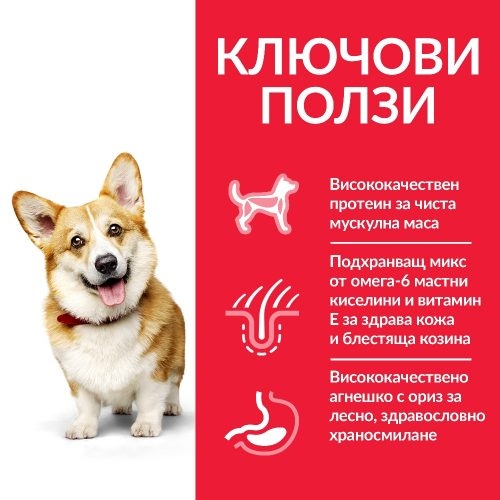 Hills SP Dog Adult Small&Mini L&R 5+1кг. храна за кучета 1-6 години от миниатюрни и малки породи с агнешко и ориз
