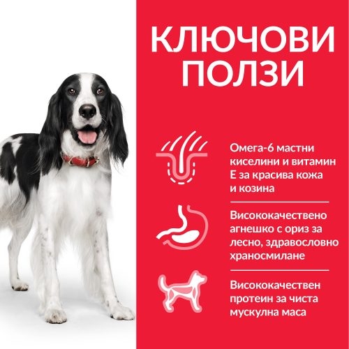 Hills SP Dog Adult Medium L&amp;R 11+3 кг., храна за кучета от средните породи, 1 до 6 години с агнешко и ориз 