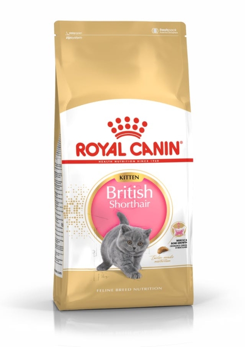 Royal Canin British Shorthair Kitten 2кг. - Храна за котенца от породата Британска късокосместа от 4 до 12 м. възраст 